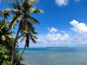 ヤシの木と海と青空